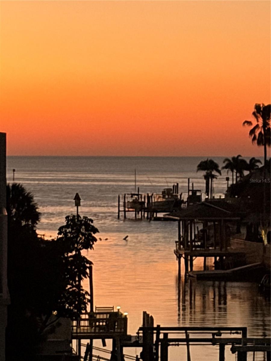 Say good night after seeing this view every night