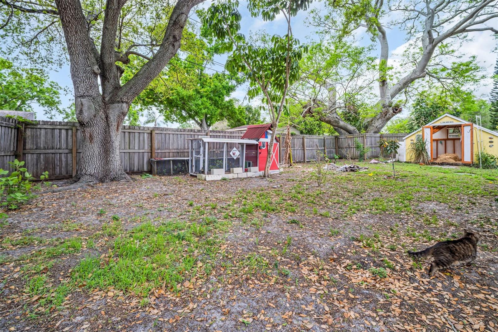 1097 KENWOOD DR, DUNEDIN, FL, 34698