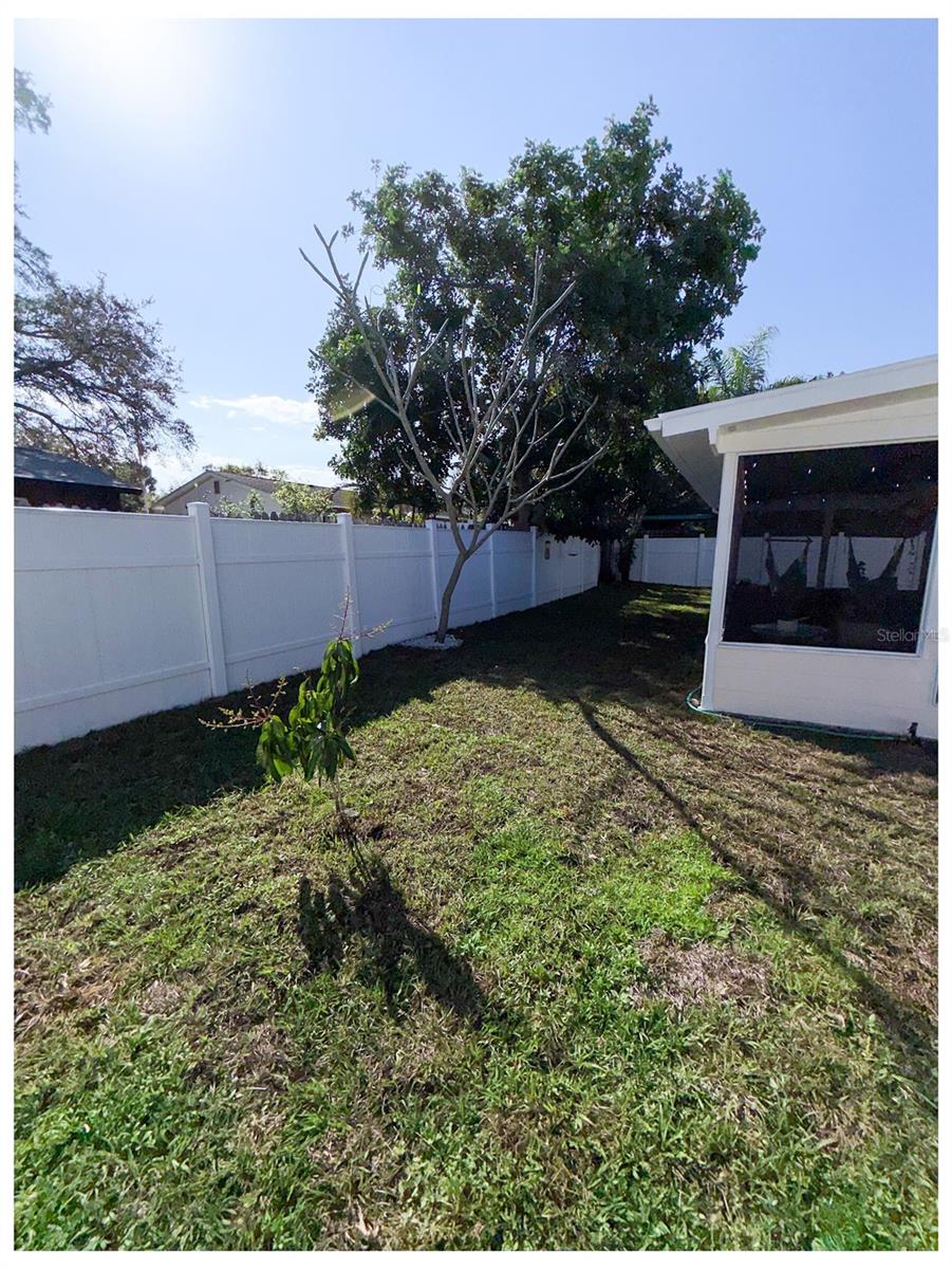 2225 NELLIE ST, LARGO, FL, 33774