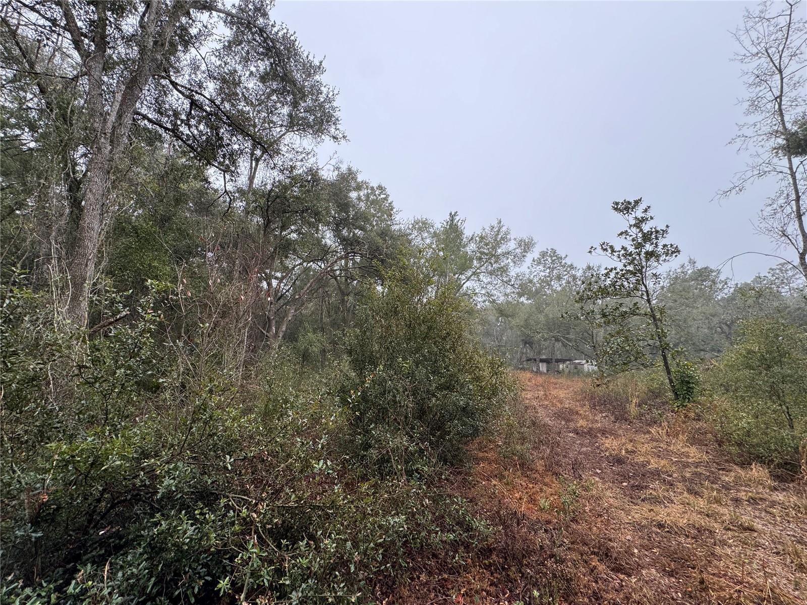 2795 SE 21ST AVE, SUMTERVILLE, FL, 33585