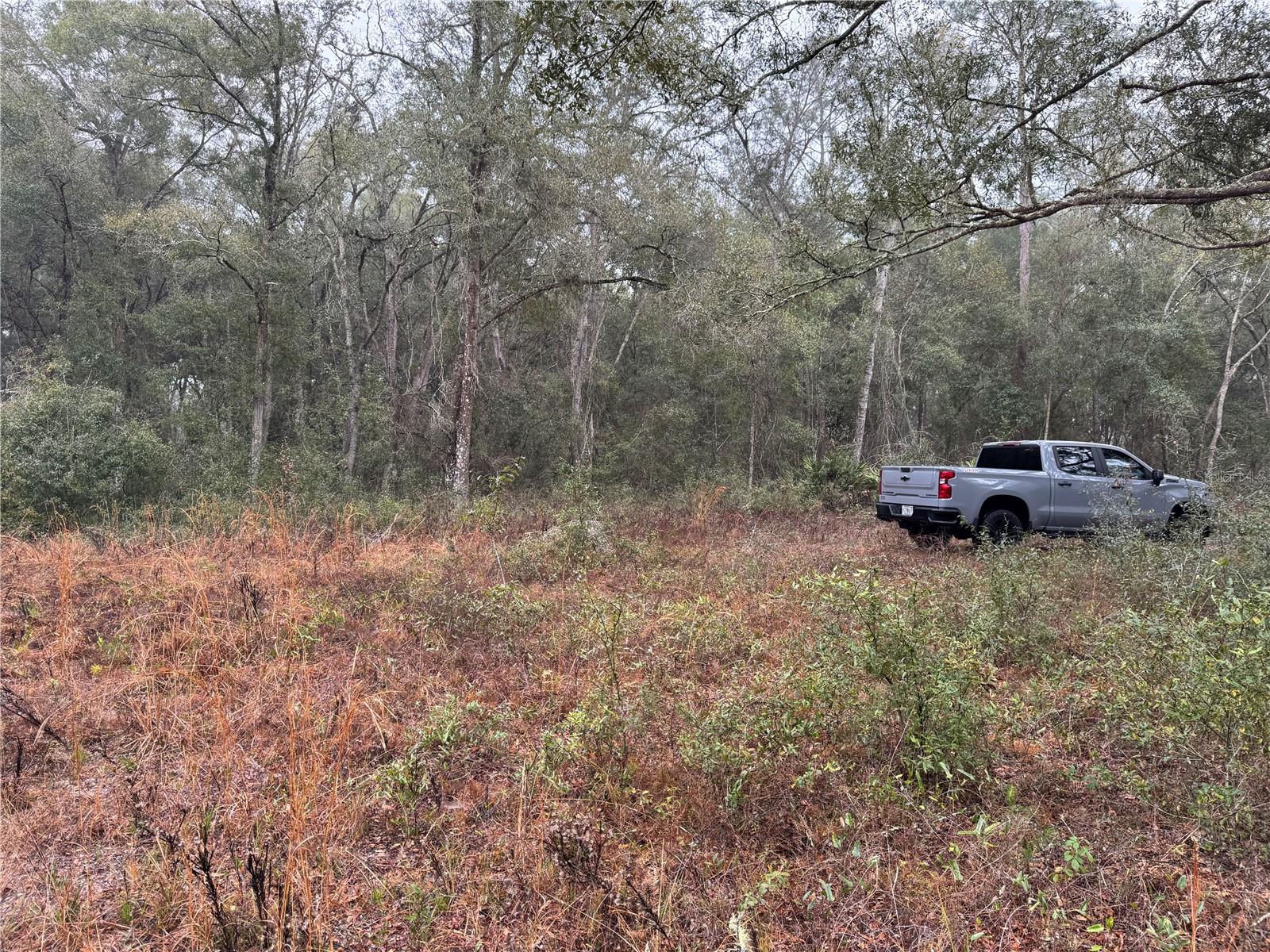 2795 SE 21ST AVE, SUMTERVILLE, FL, 33585