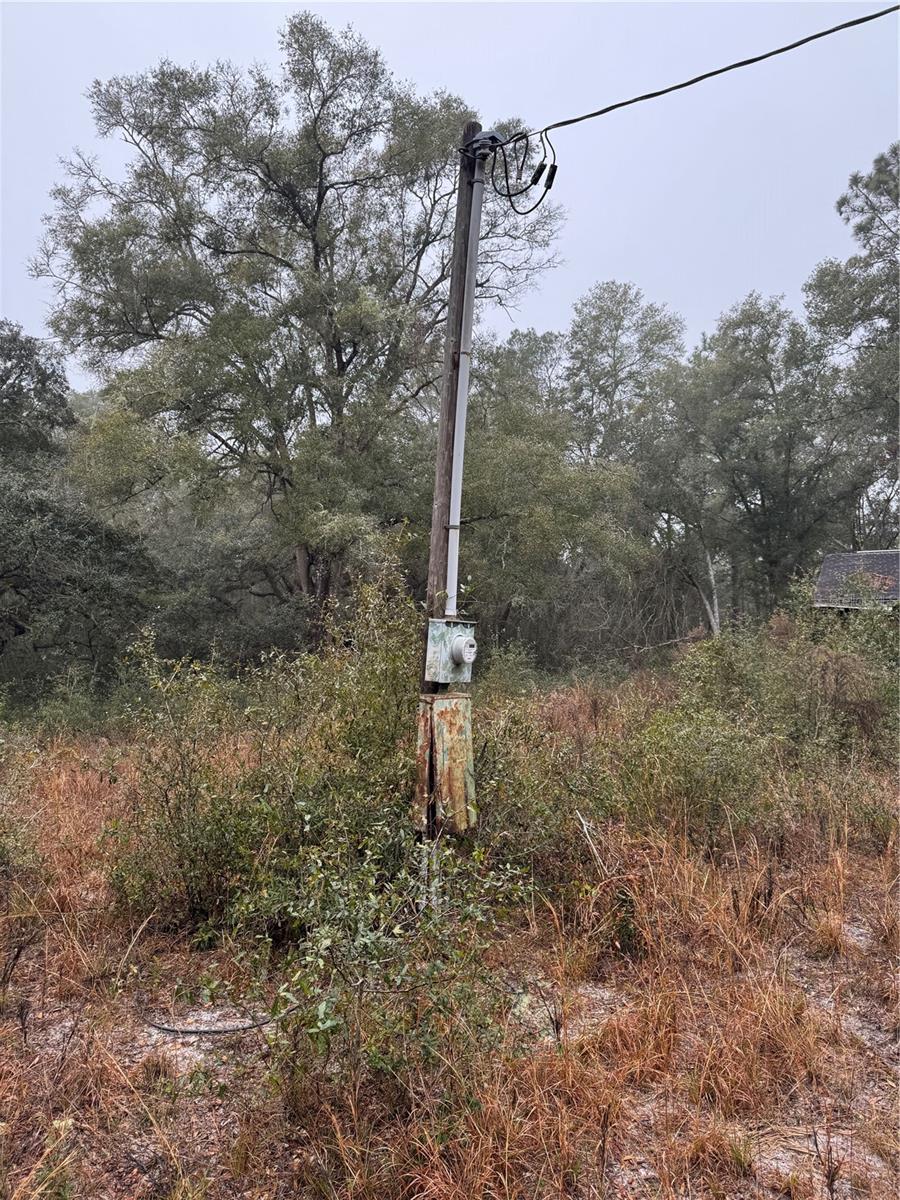 2795 SE 21ST AVE, SUMTERVILLE, FL, 33585