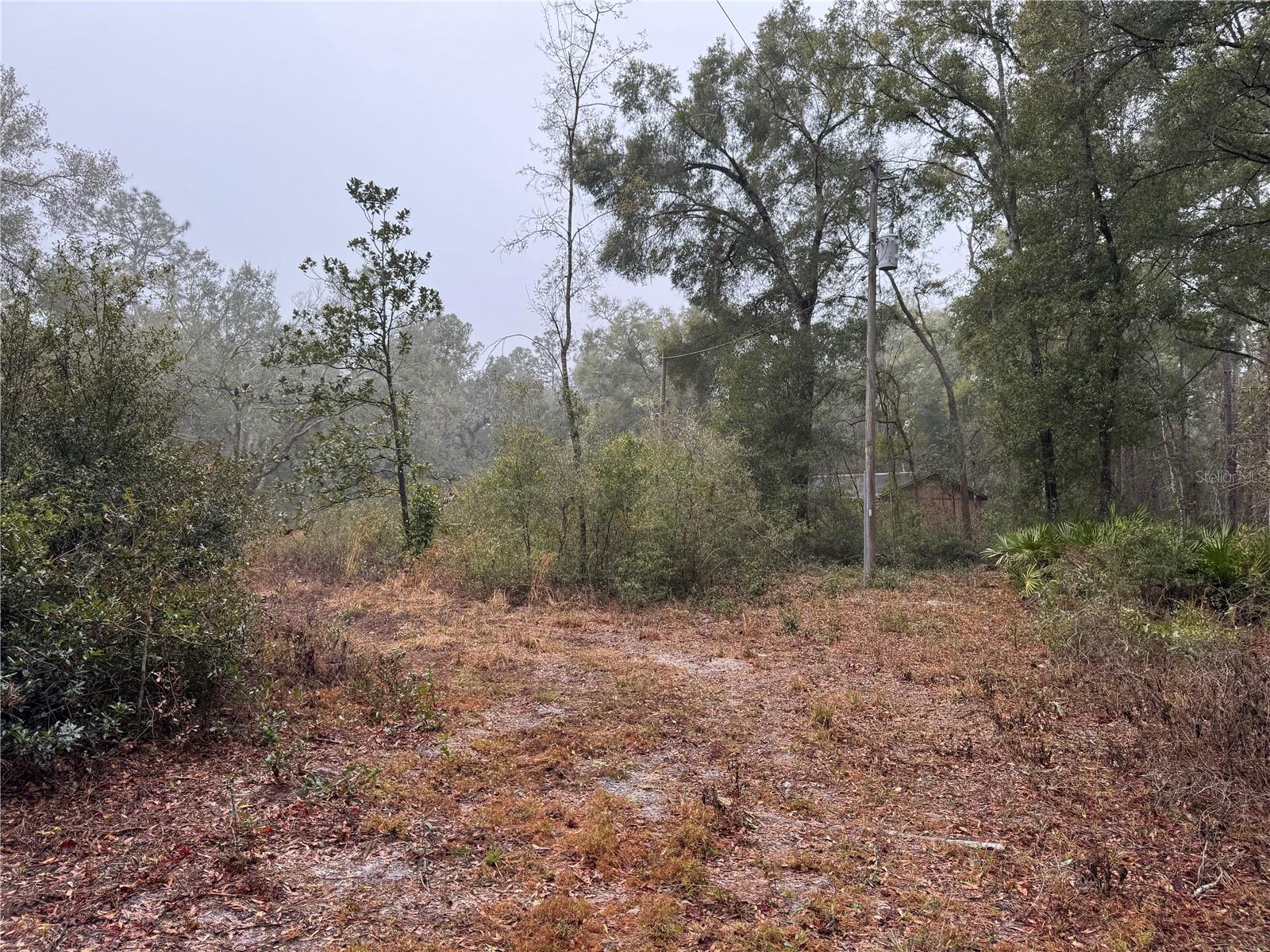 2795 SE 21ST AVE, SUMTERVILLE, FL, 33585