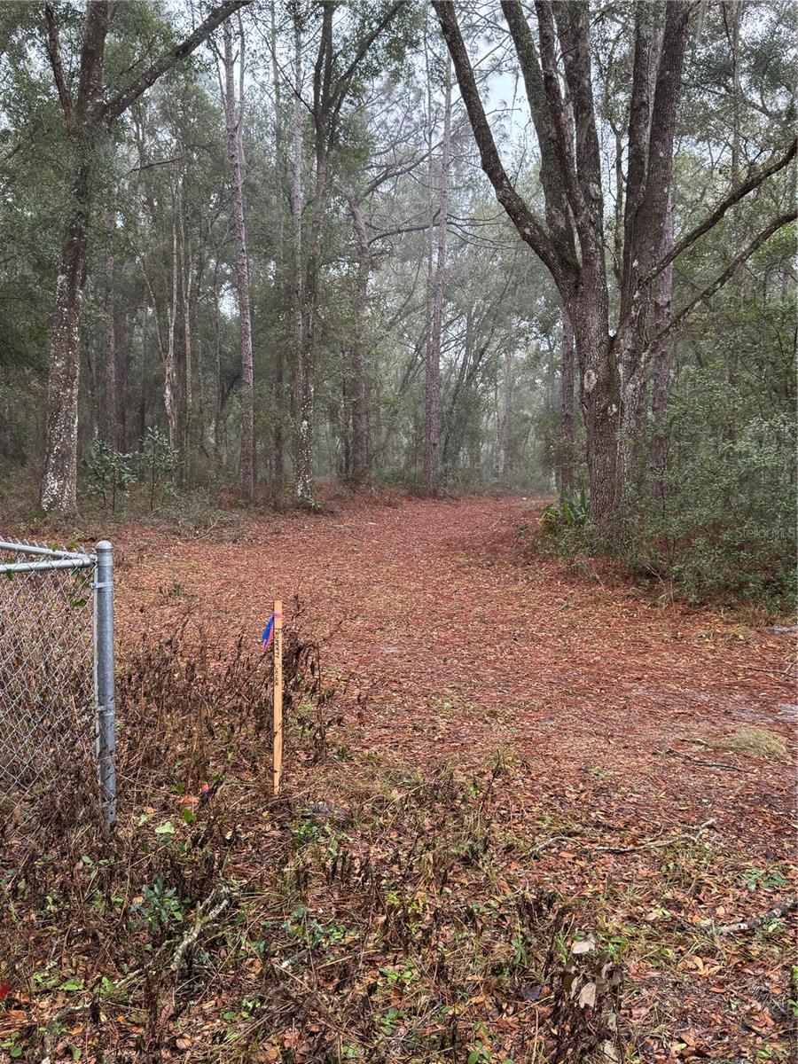 2795 SE 21ST AVE, SUMTERVILLE, FL, 33585