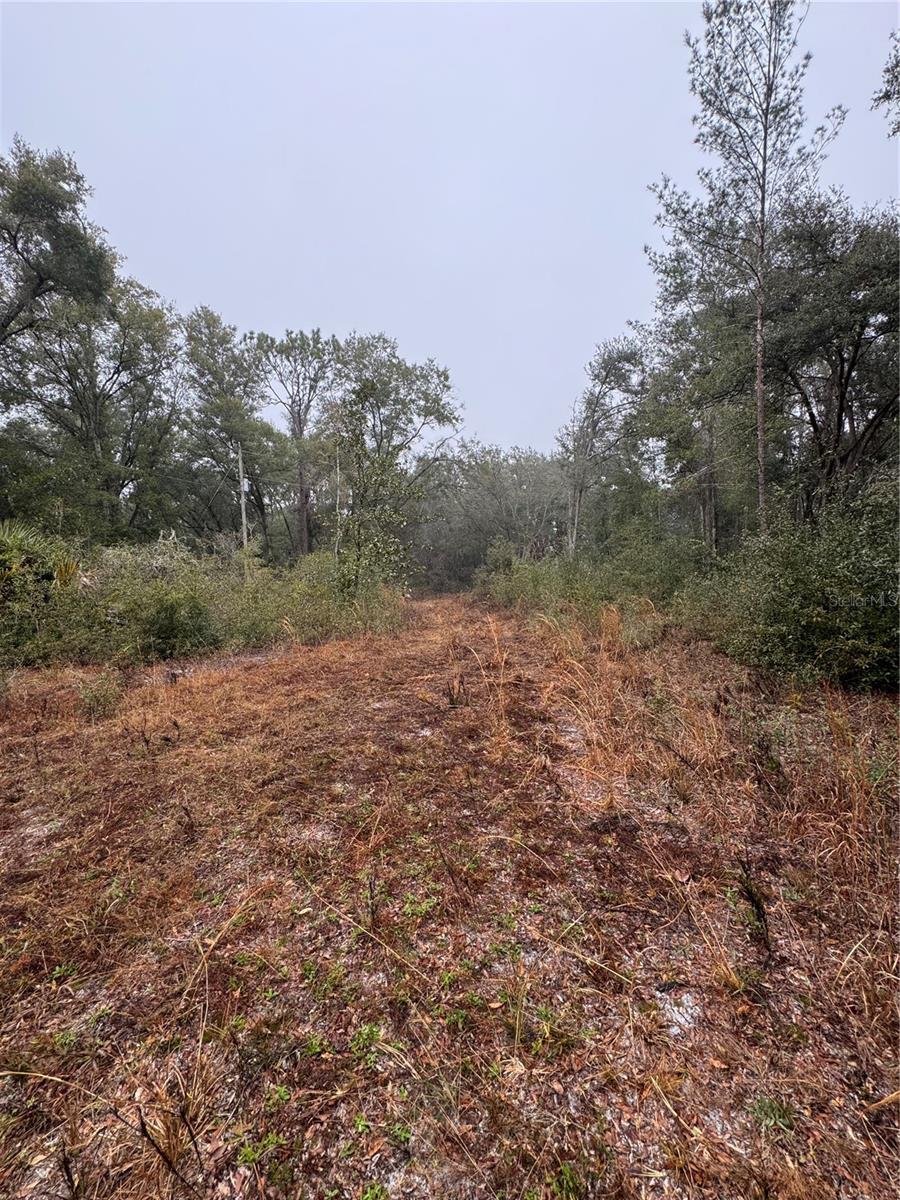 2795 SE 21ST AVE, SUMTERVILLE, FL, 33585