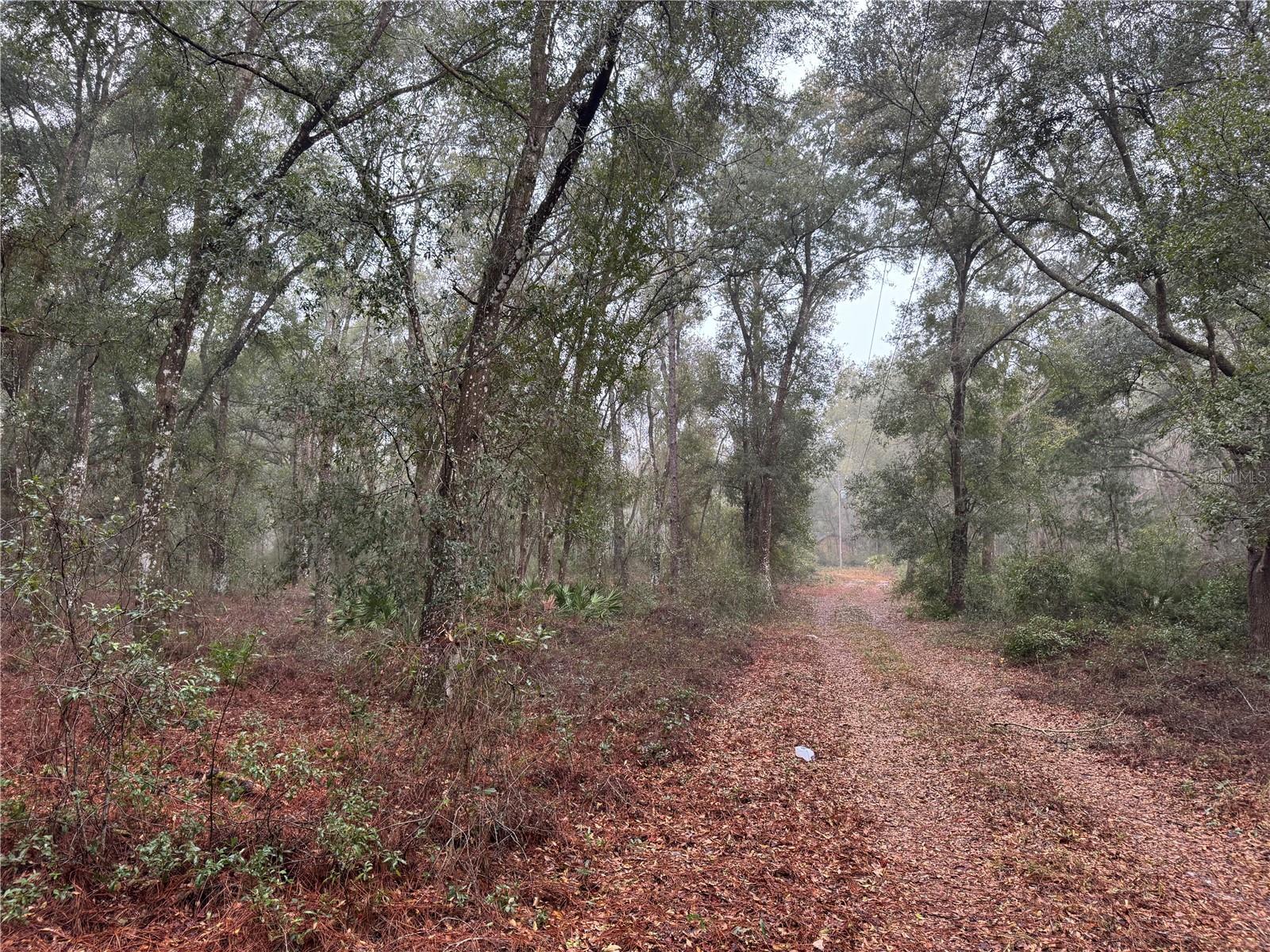 2795 SE 21ST AVE, SUMTERVILLE, FL, 33585