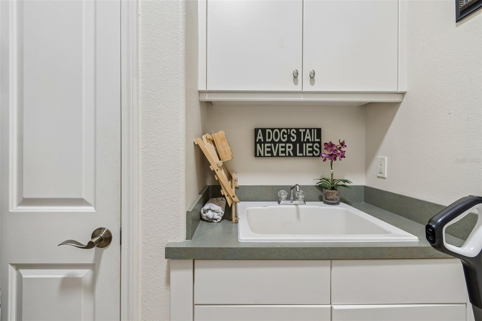 Sink and Closet in Laundry Room