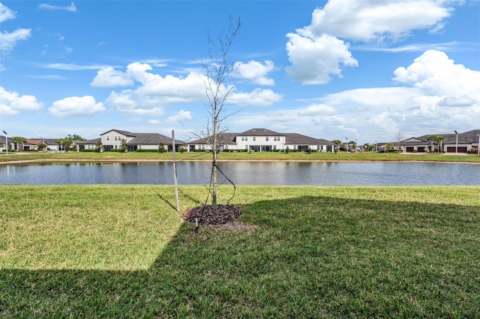 Serene water views!!