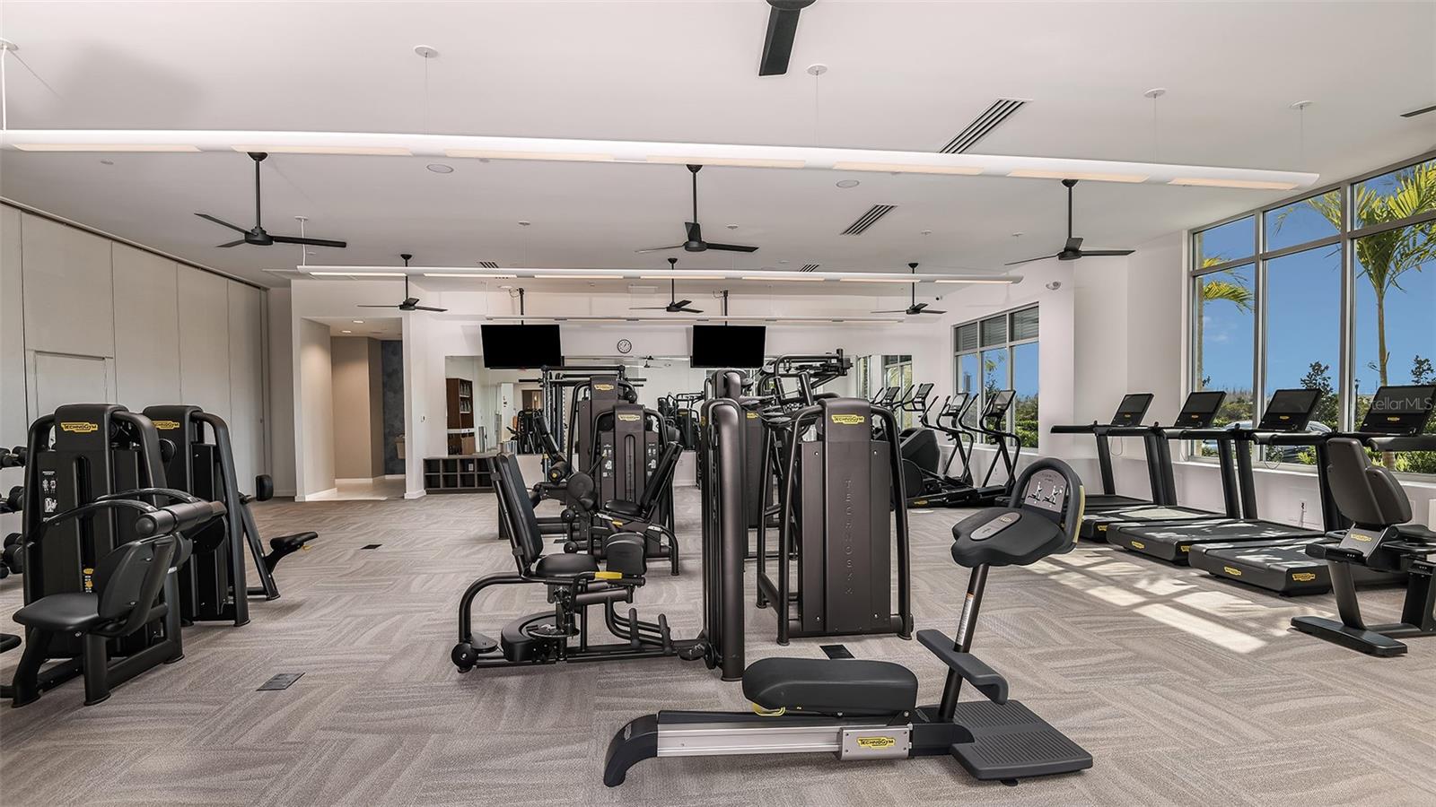 Esplanade at Wiregrass Ranch Community