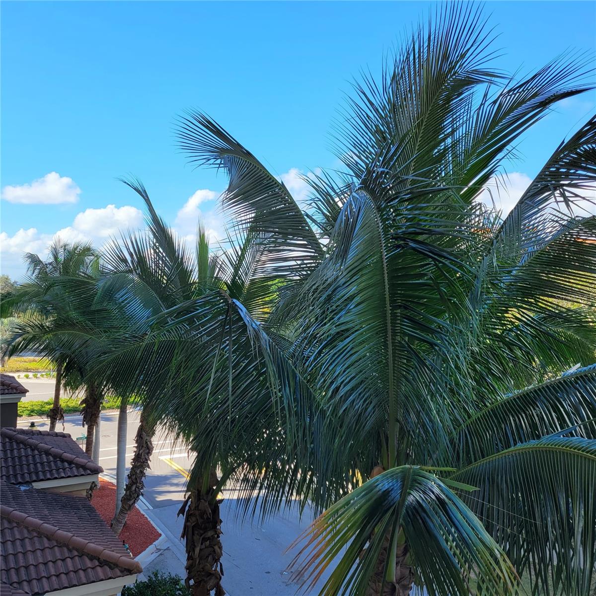 1064 N TAMIAMI TRL #1325, SARASOTA, FL, 34236