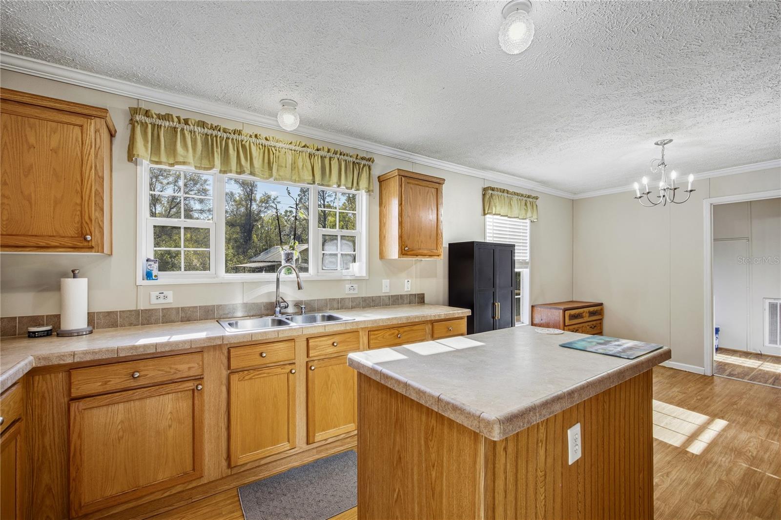 16564 NW 85TH TER, FANNING SPRINGS, FL, 32693