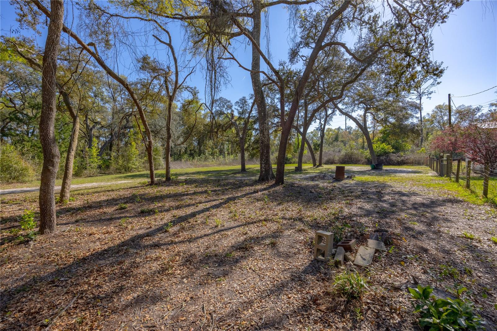 16564 NW 85TH TER, FANNING SPRINGS, FL, 32693
