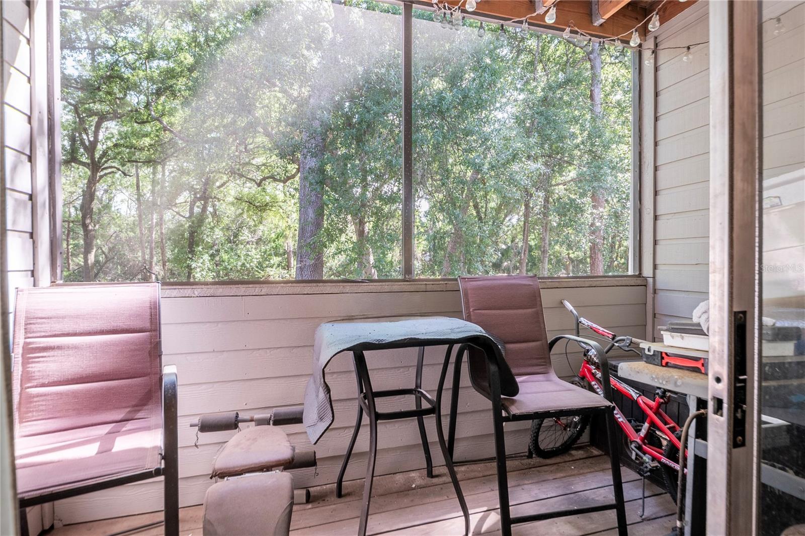 Private screened porch