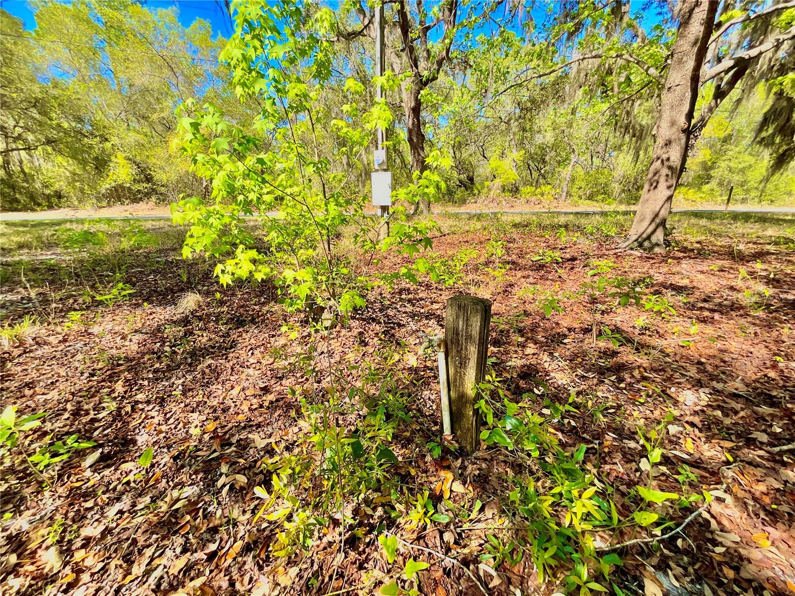 Lot 1 SE 16TH ST, MELROSE, FL, 32666