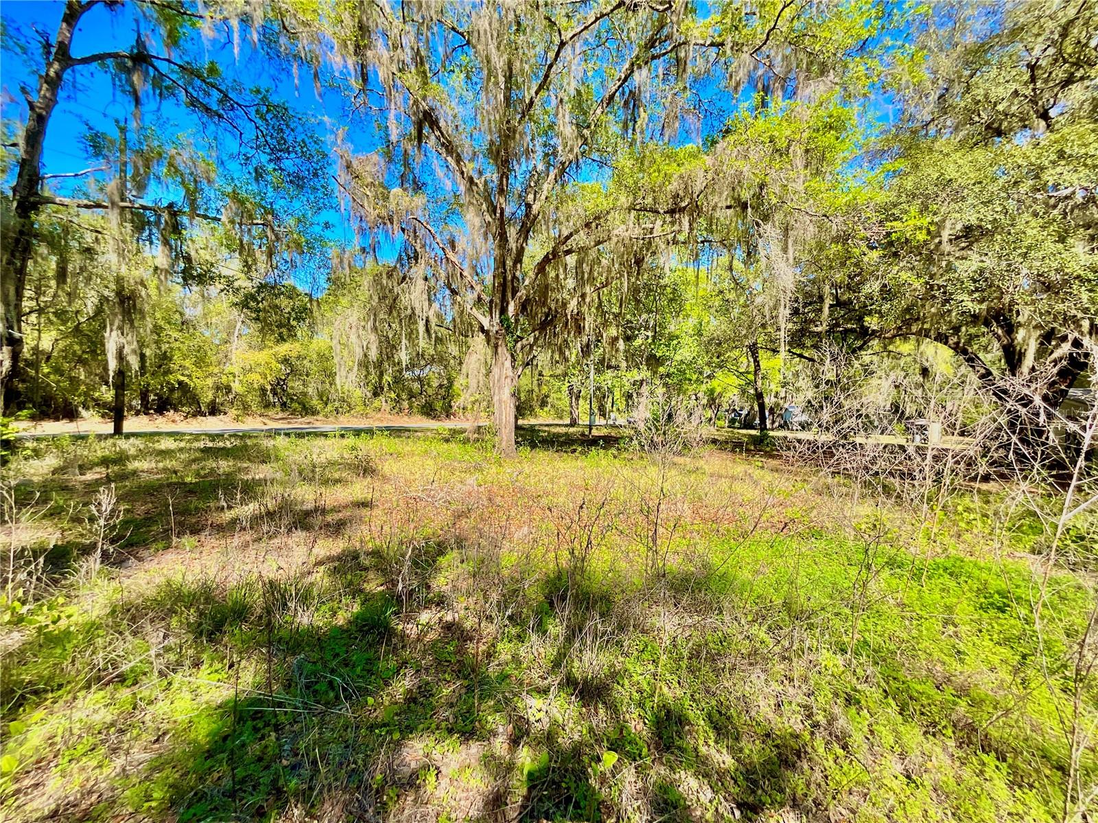 Lot 1 SE 16TH ST, MELROSE, FL, 32666