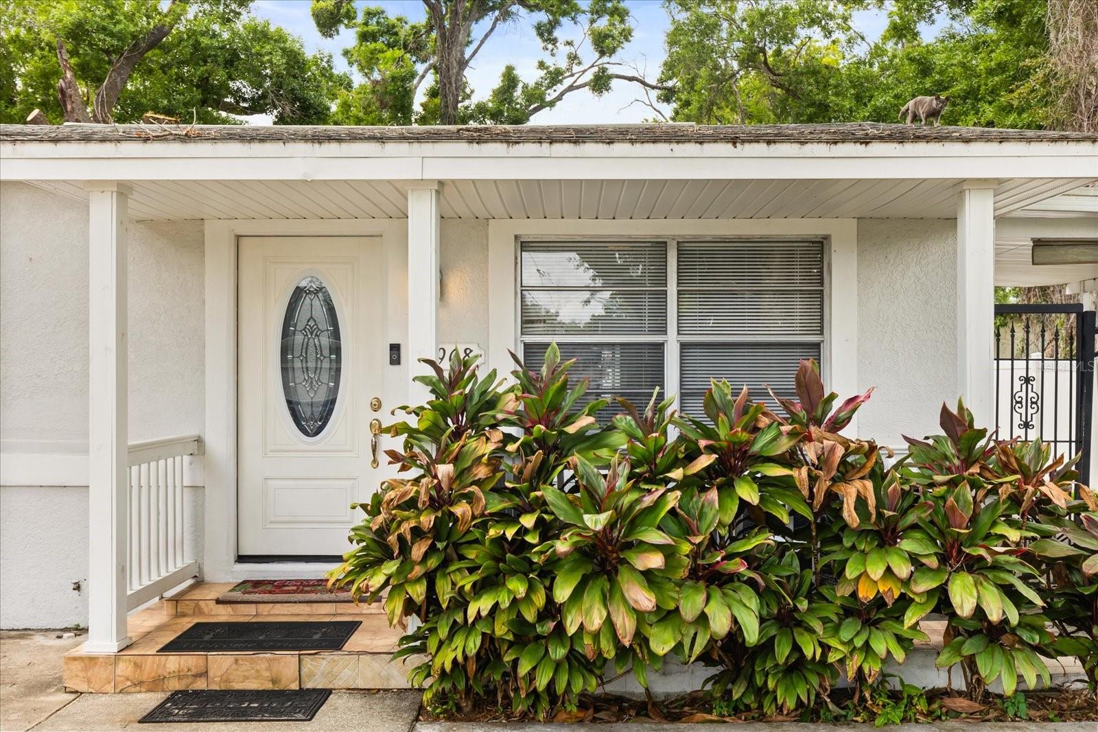 6908 N OREGON AVE, TAMPA, FL, 33604