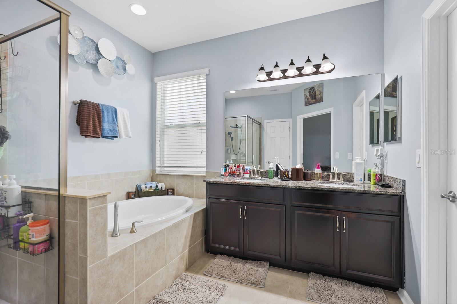 11204 COVENTRY GROVE CIR, LITHIA, FL, 33547