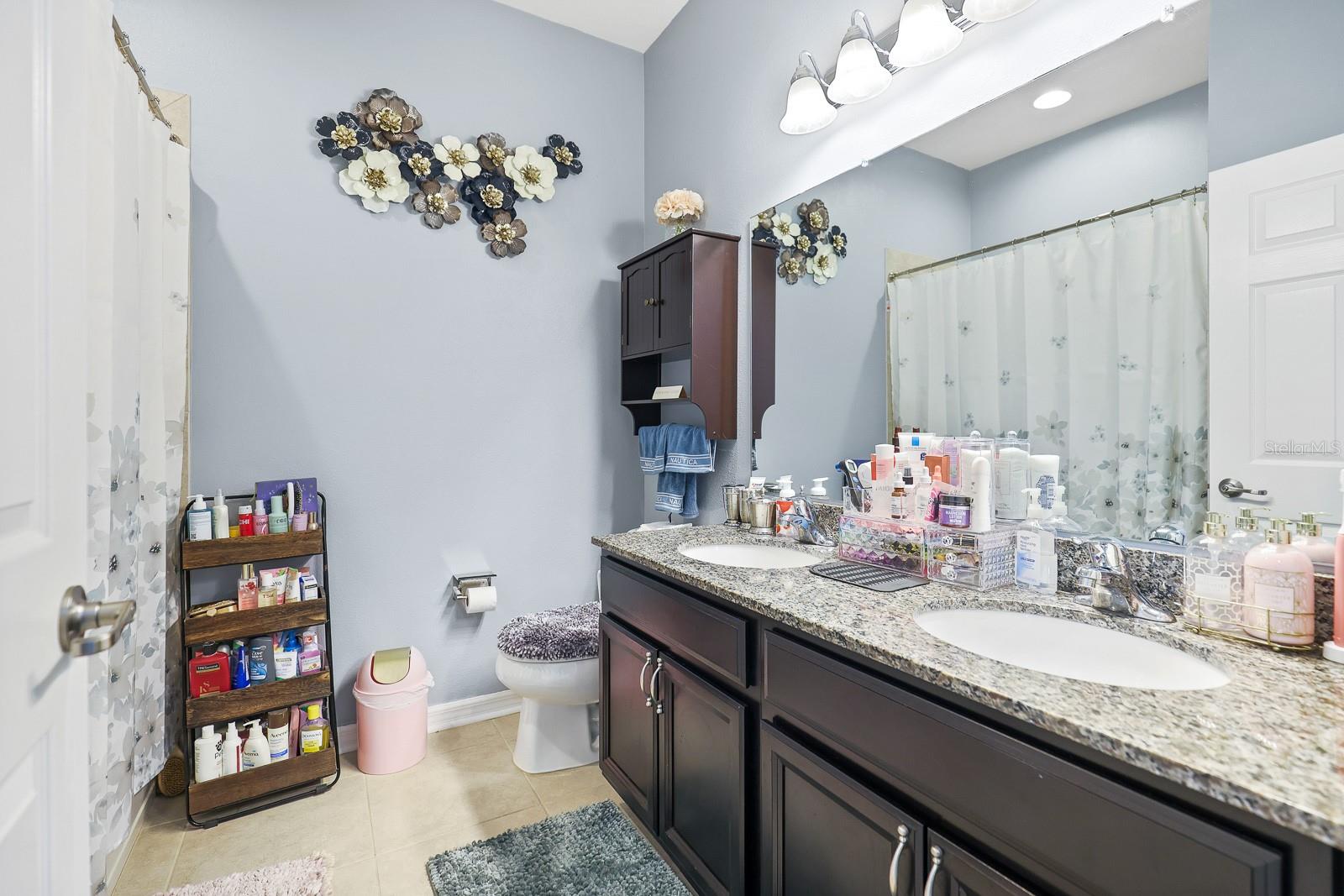 11204 COVENTRY GROVE CIR, LITHIA, FL, 33547