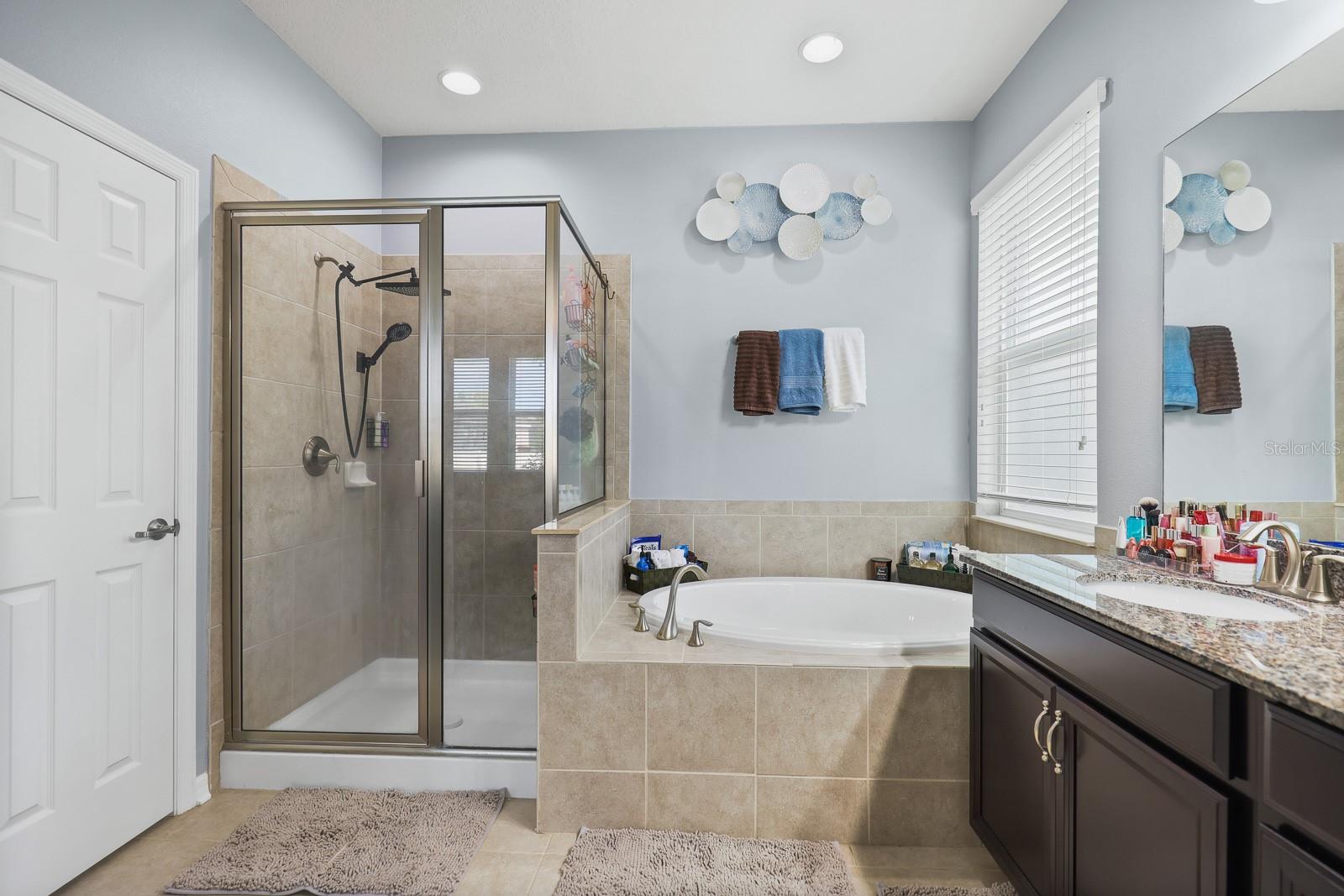 11204 COVENTRY GROVE CIR, LITHIA, FL, 33547