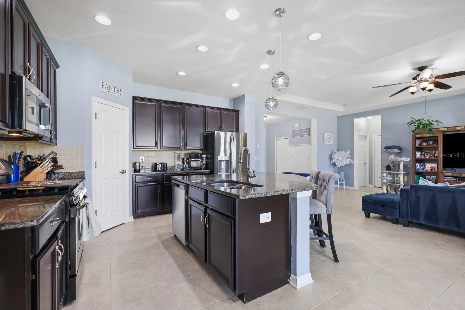 11204 COVENTRY GROVE CIR, LITHIA, FL, 33547