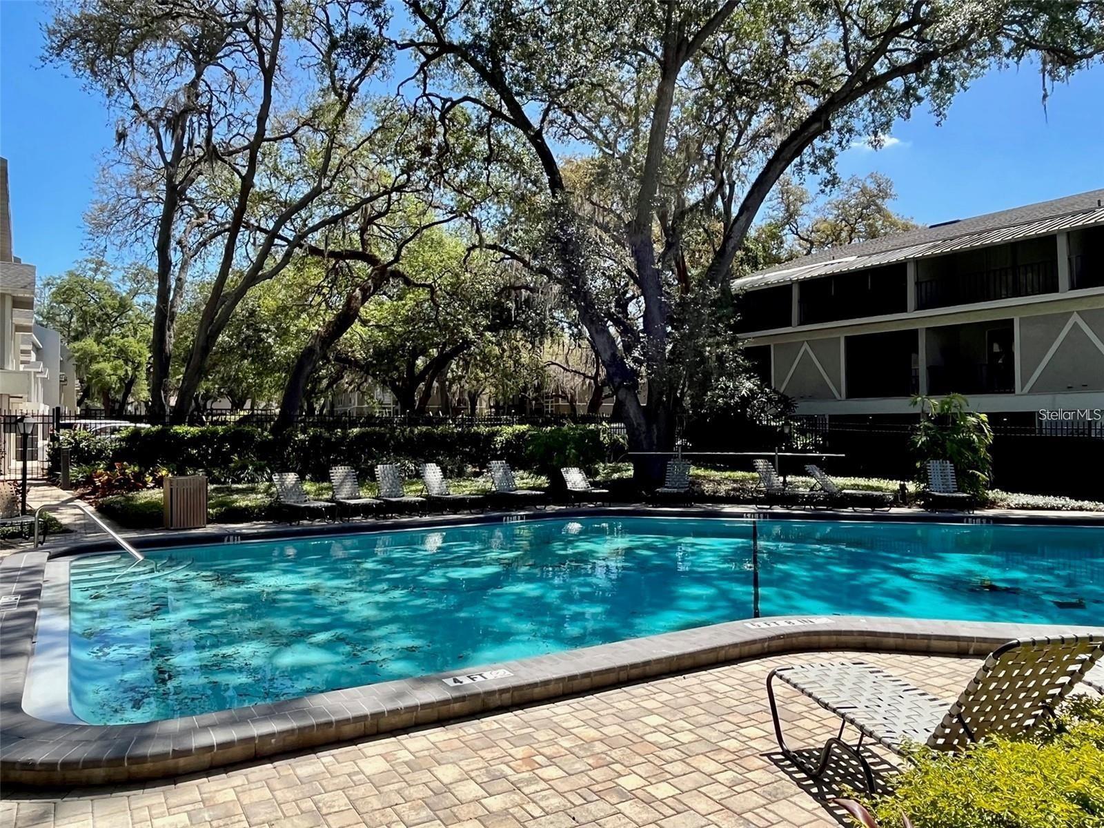 14470 REUTER STRASSE CIR #405, TAMPA, FL, 33613