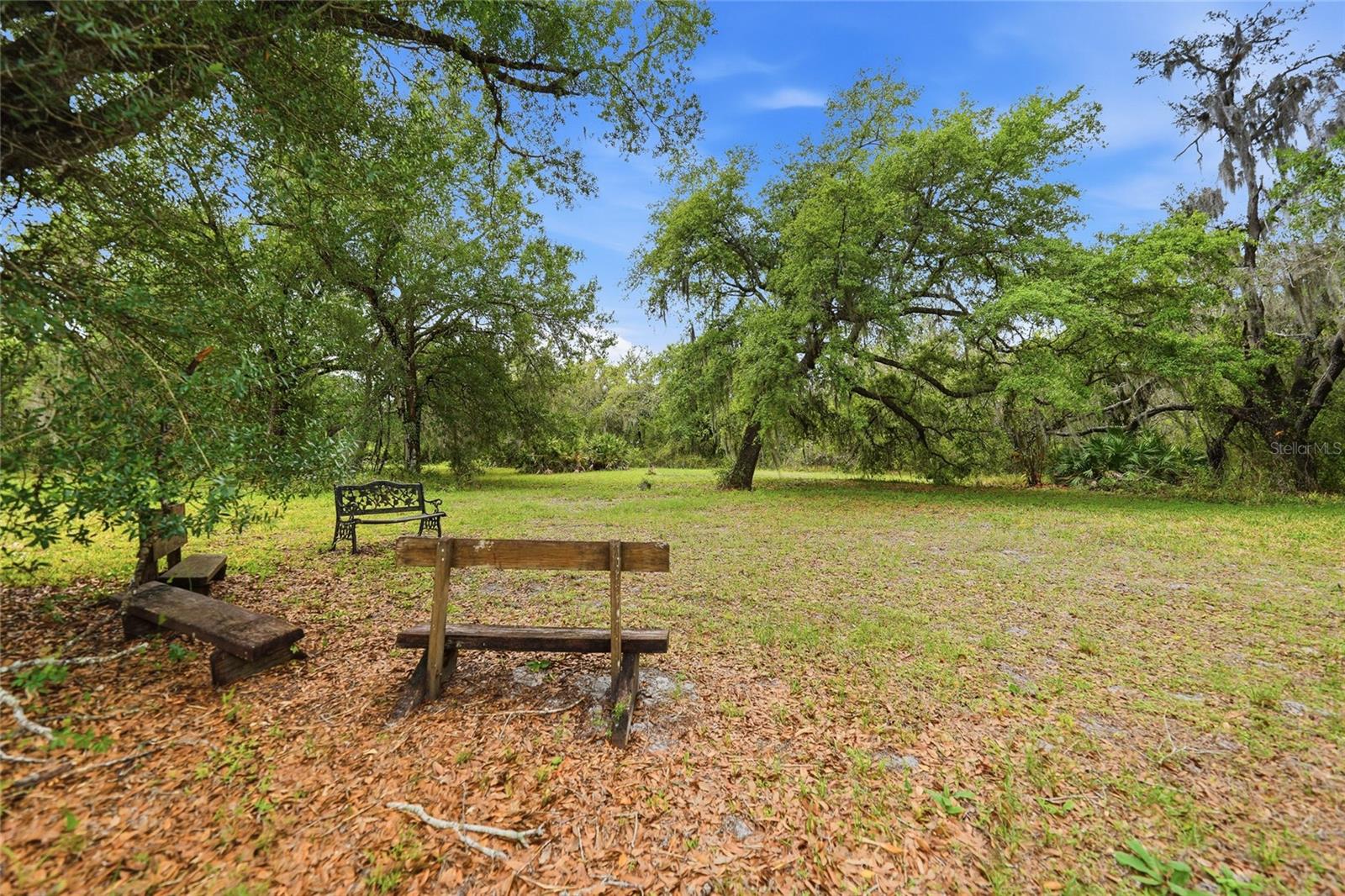 5205 SW CARLTON AVE, ARCADIA, FL, 34266
