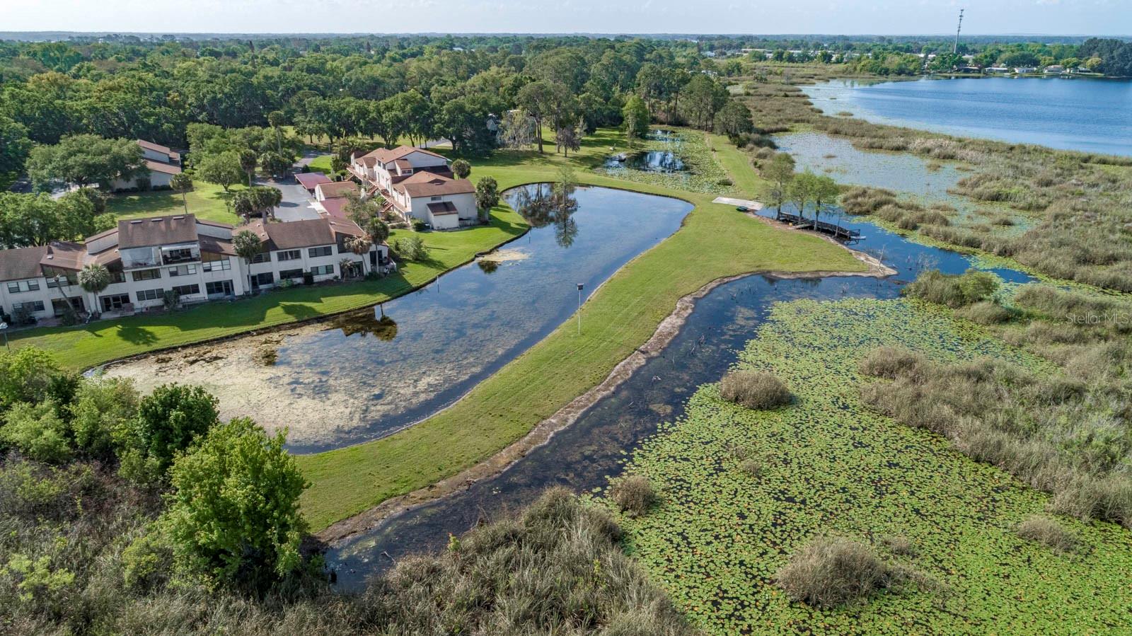 4300 BAYWOOD BLVD #B102, MOUNT DORA, FL, 32757