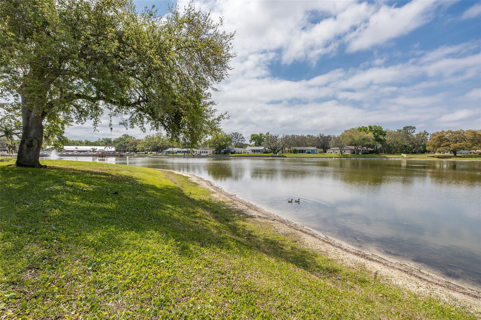 8330 DIVOT WAY, PORT RICHEY, FL, 34668