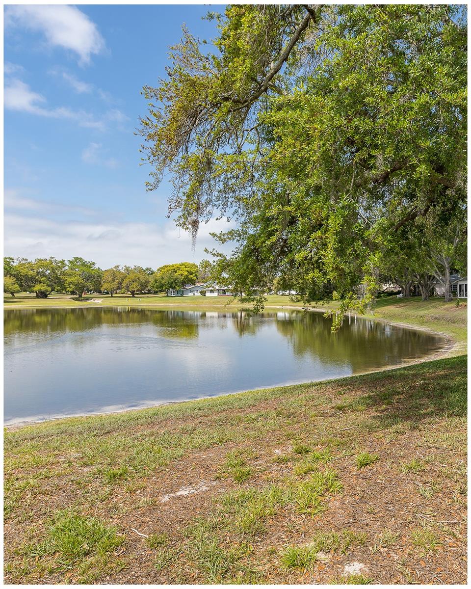 8330 DIVOT WAY, PORT RICHEY, FL, 34668