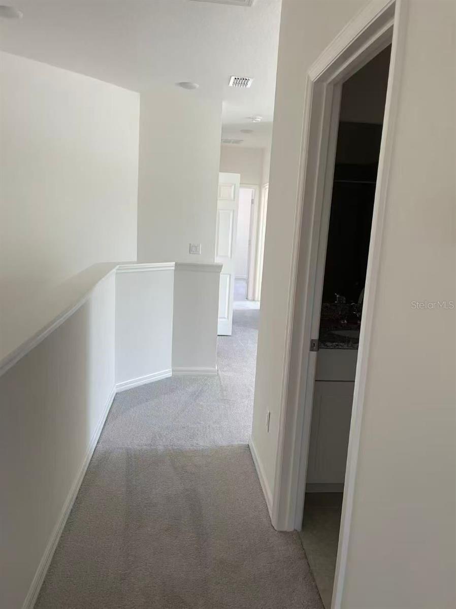 34224 ROGALLO LN, WESLEY CHAPEL, FL, 33545