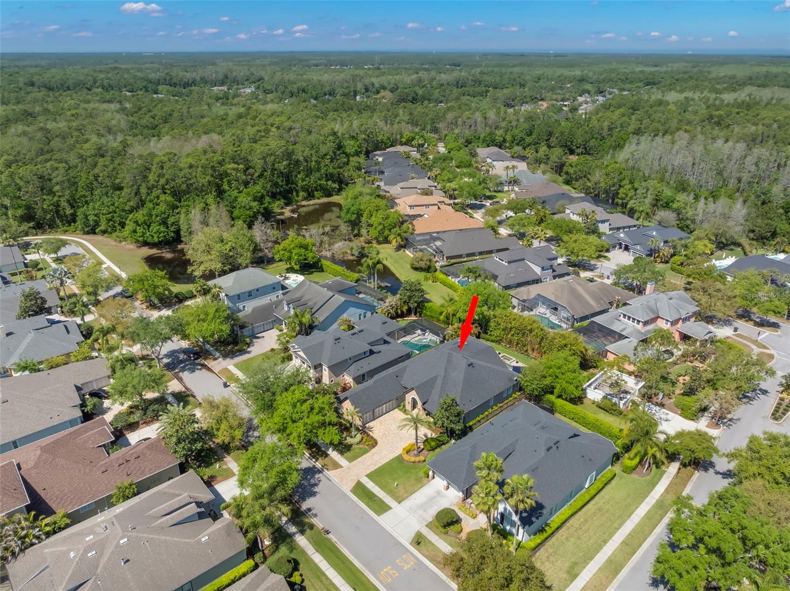 12003 SAN CHALIFORD CT, TAMPA, FL, 33626