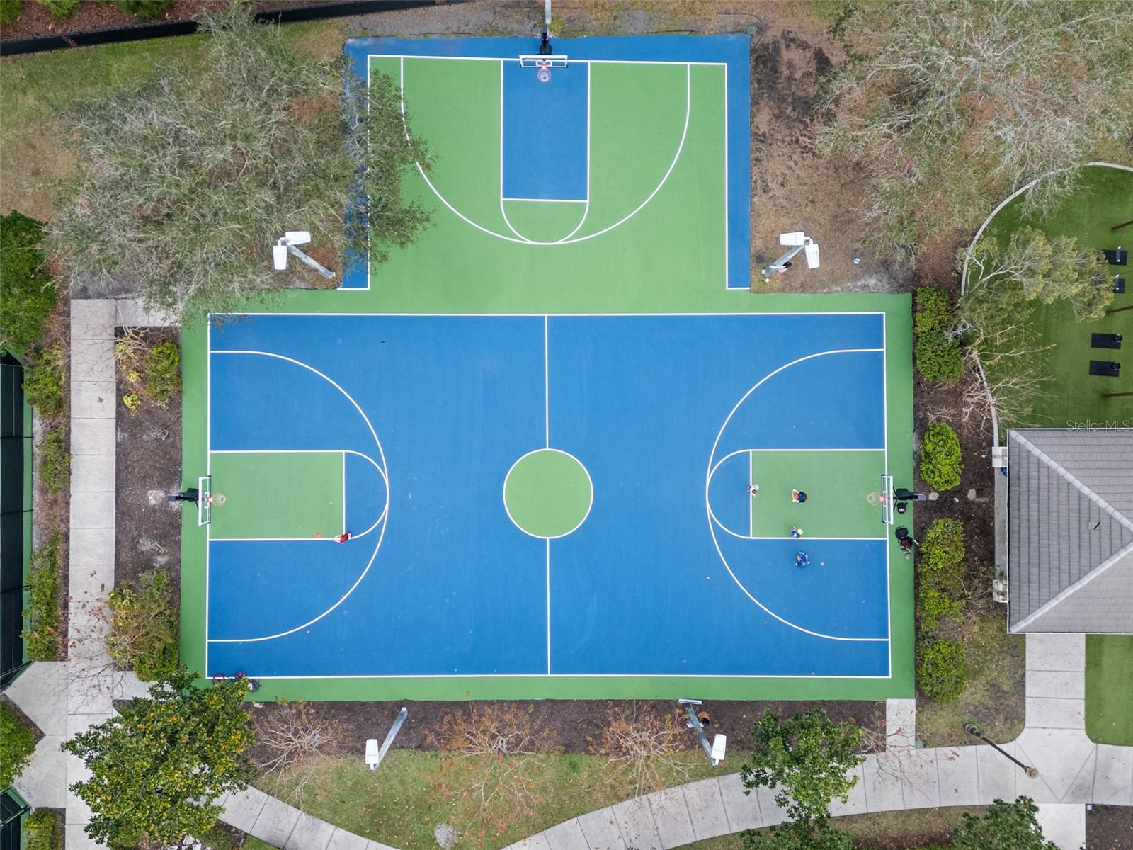 12003 SAN CHALIFORD CT, TAMPA, FL, 33626