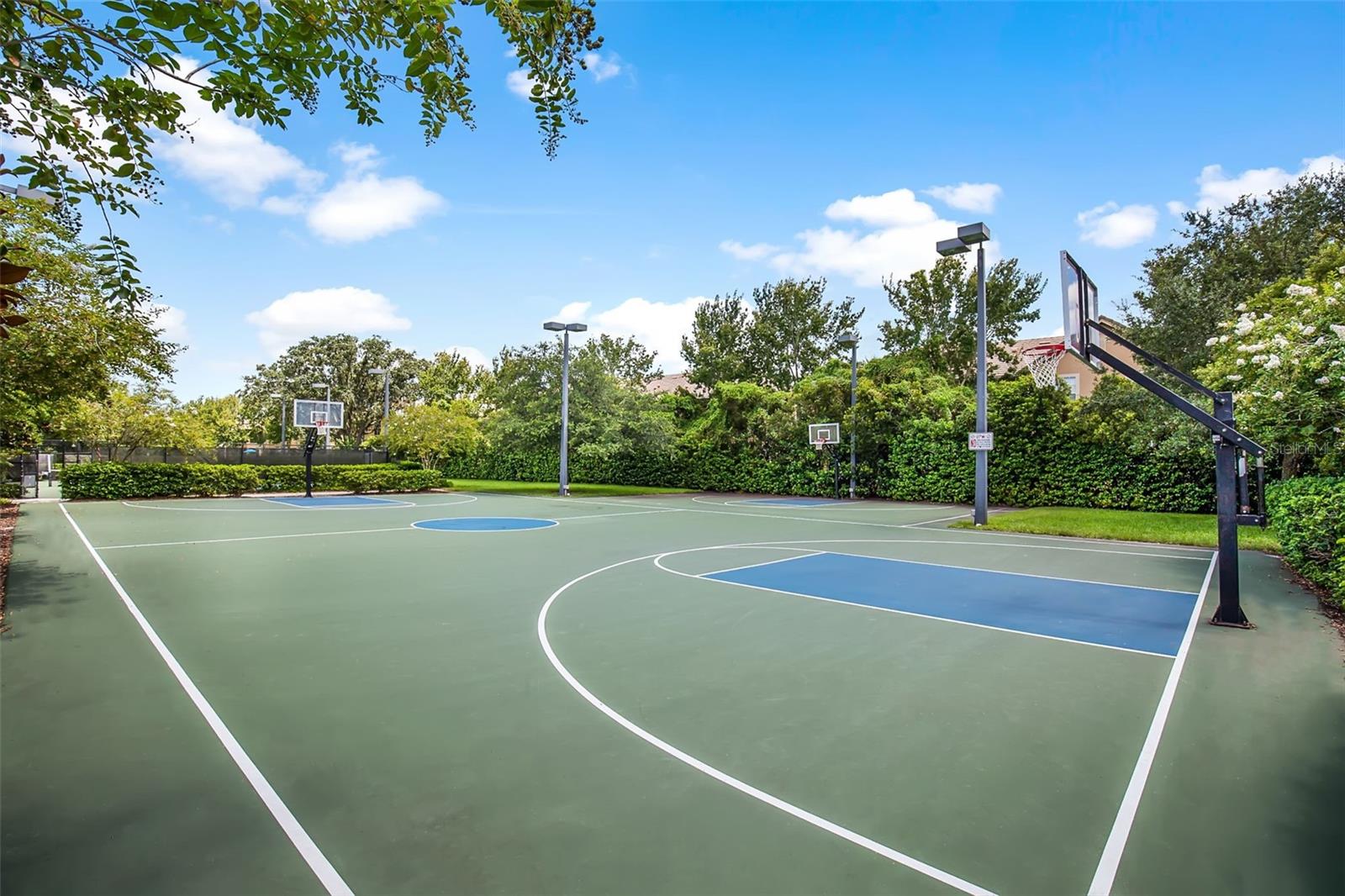 12003 SAN CHALIFORD CT, TAMPA, FL, 33626