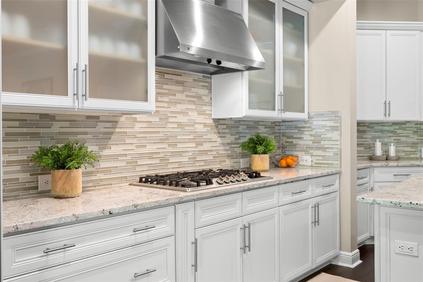 12003 SAN CHALIFORD CT, TAMPA, FL, 33626