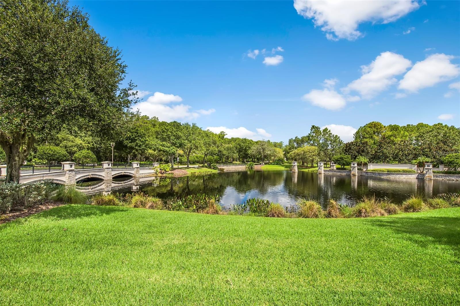 12003 SAN CHALIFORD CT, TAMPA, FL, 33626