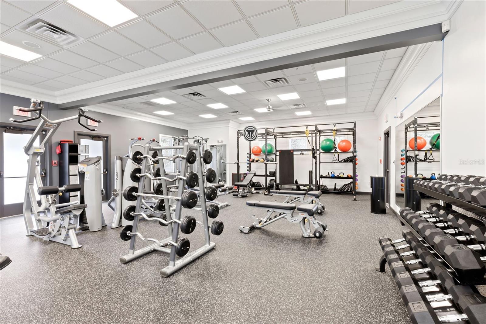 12003 SAN CHALIFORD CT, TAMPA, FL, 33626