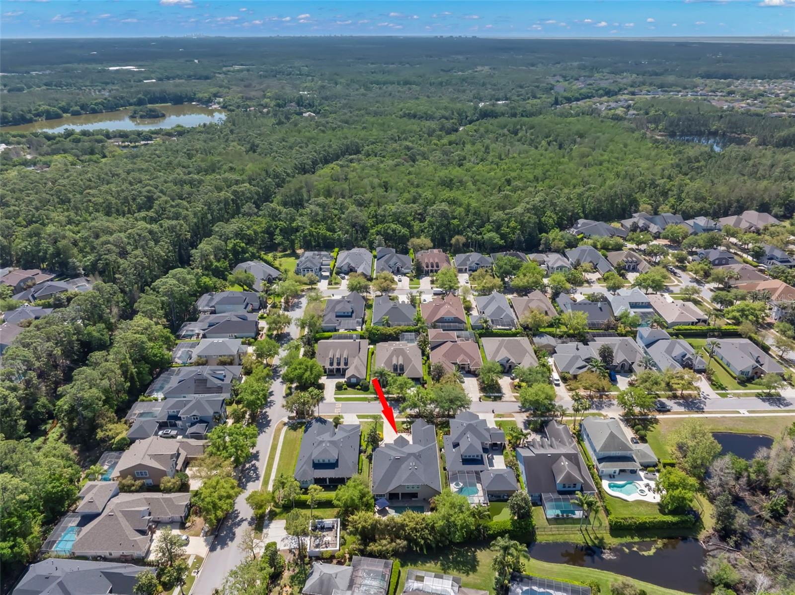 12003 SAN CHALIFORD CT, TAMPA, FL, 33626