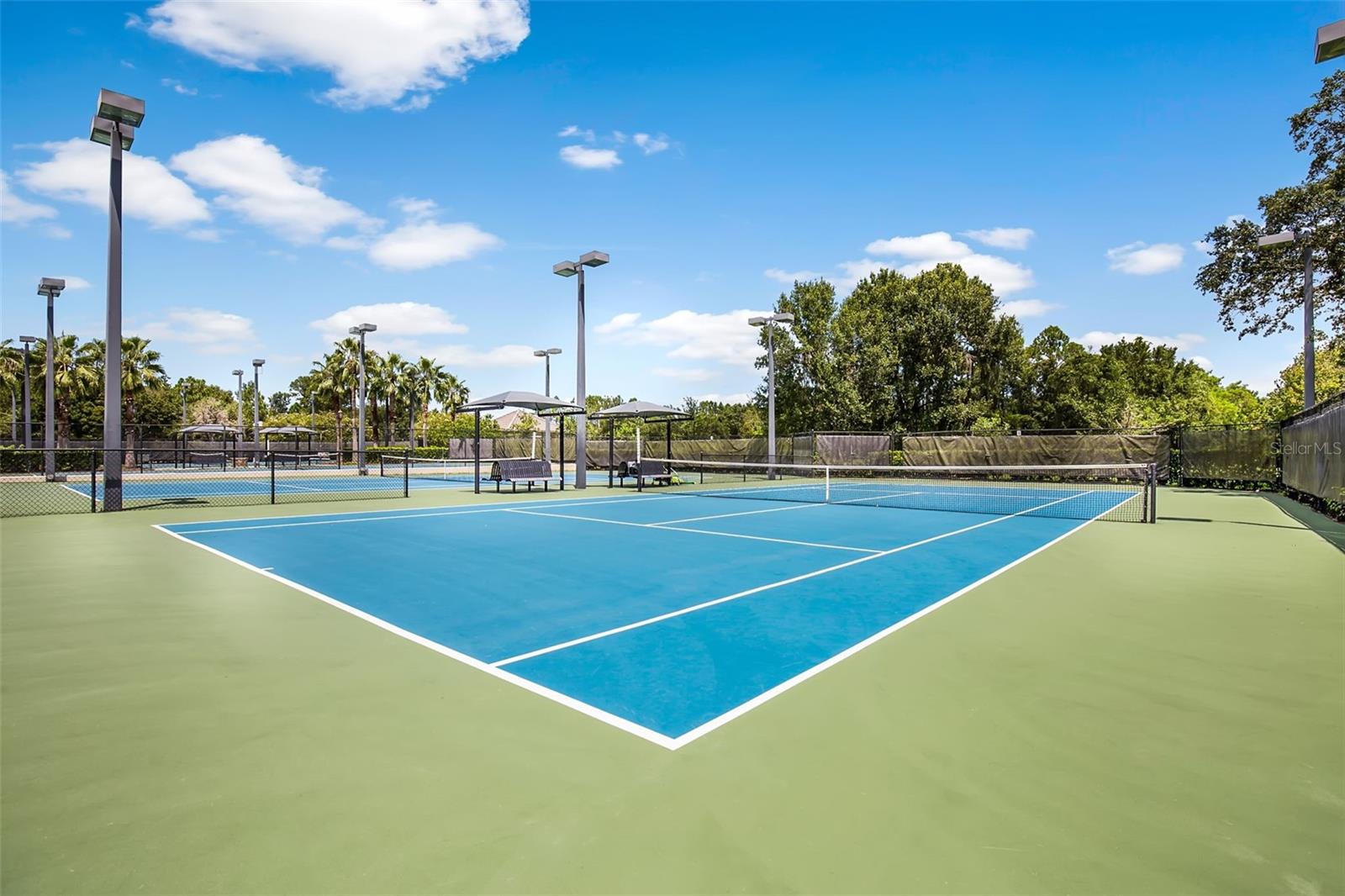 12003 SAN CHALIFORD CT, TAMPA, FL, 33626