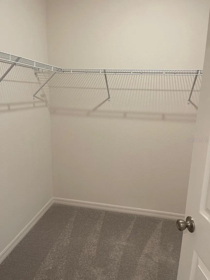 4382 SAILPLANE CT, WESLEY CHAPEL, FL, 33545