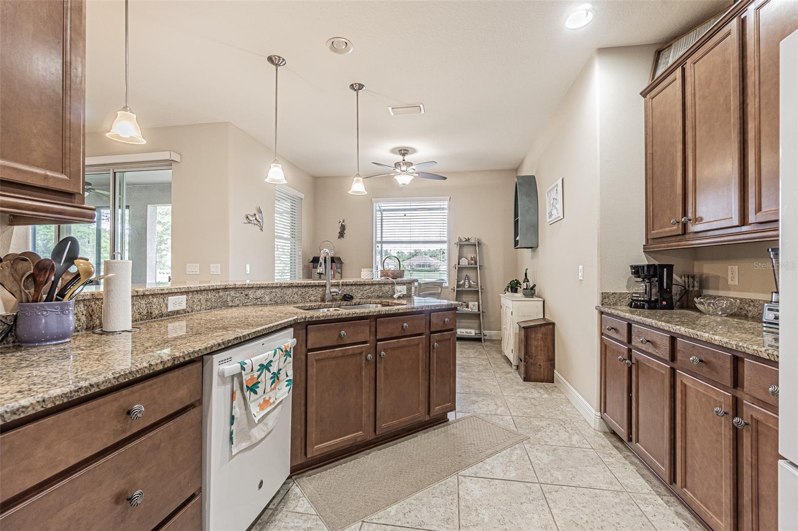 29203 GRASS BUNKER DR, SAN ANTONIO, FL, 33576