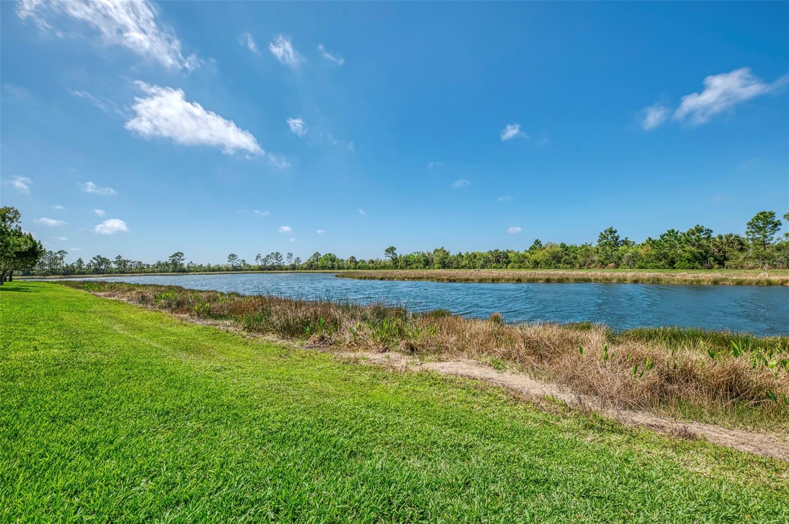 10435 MEDJOOL DR, VENICE, FL, 34293