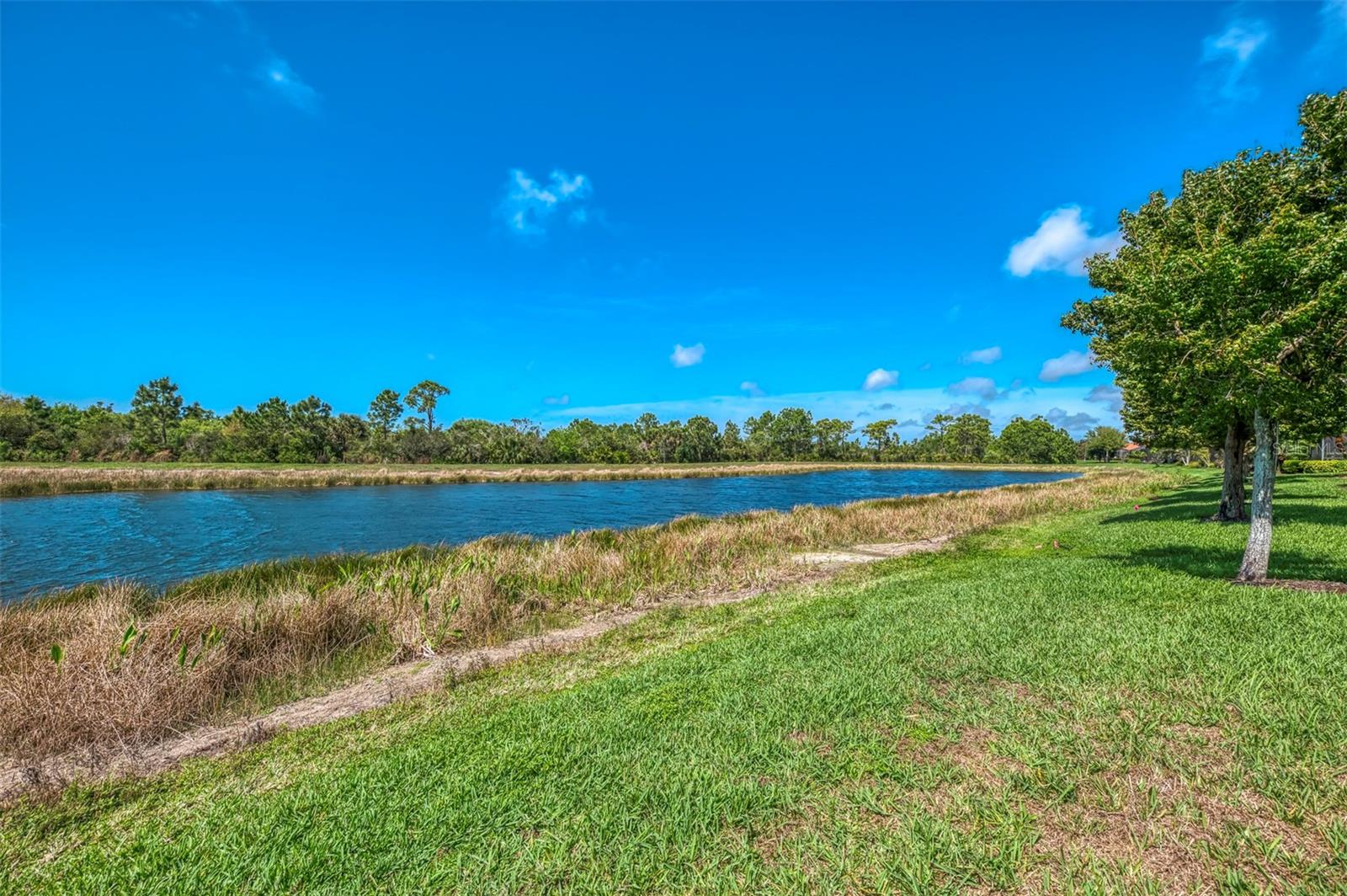 10435 MEDJOOL DR, VENICE, FL, 34293
