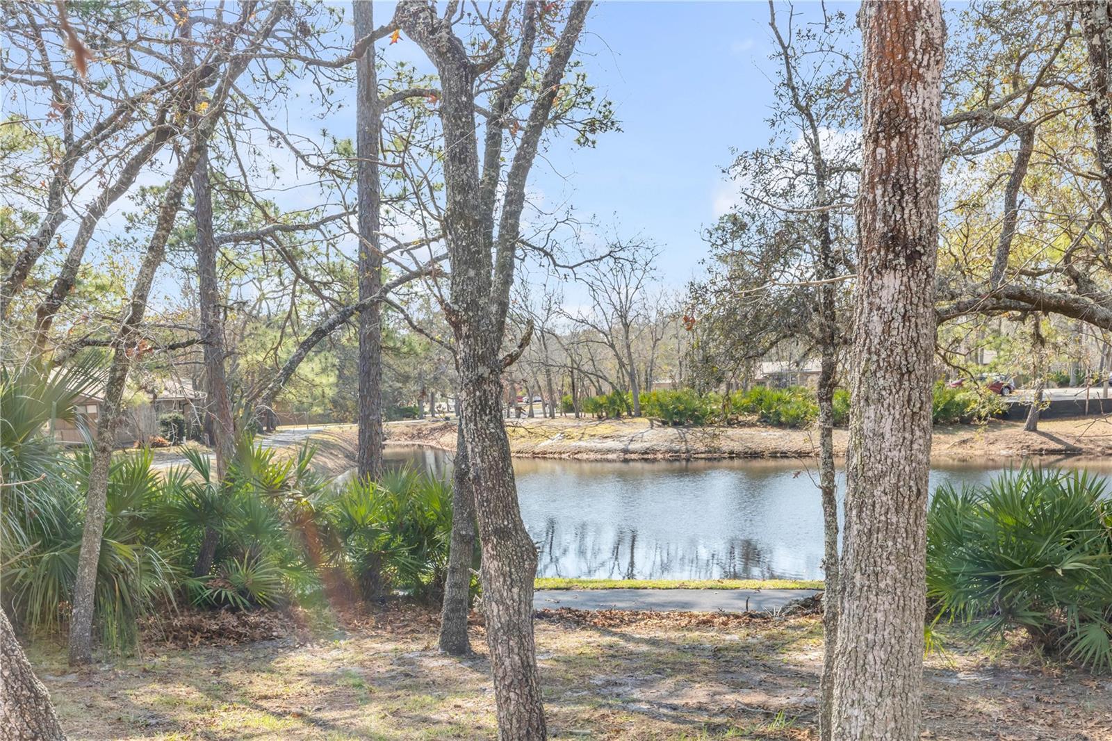 47 CROOKED PINE RD, PORT ORANGE, FL, 32128