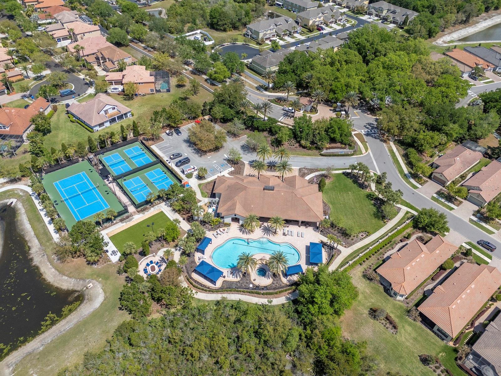 20003 UMBRIA HILL DR, TAMPA, FL, 33647