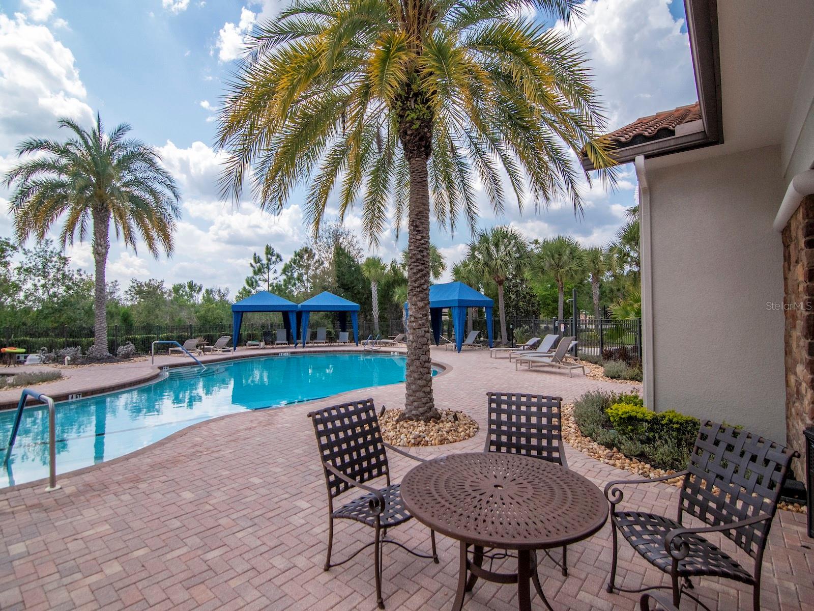 20003 UMBRIA HILL DR, TAMPA, FL, 33647