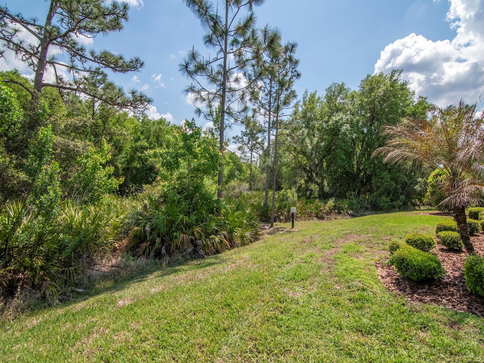 20003 UMBRIA HILL DR, TAMPA, FL, 33647