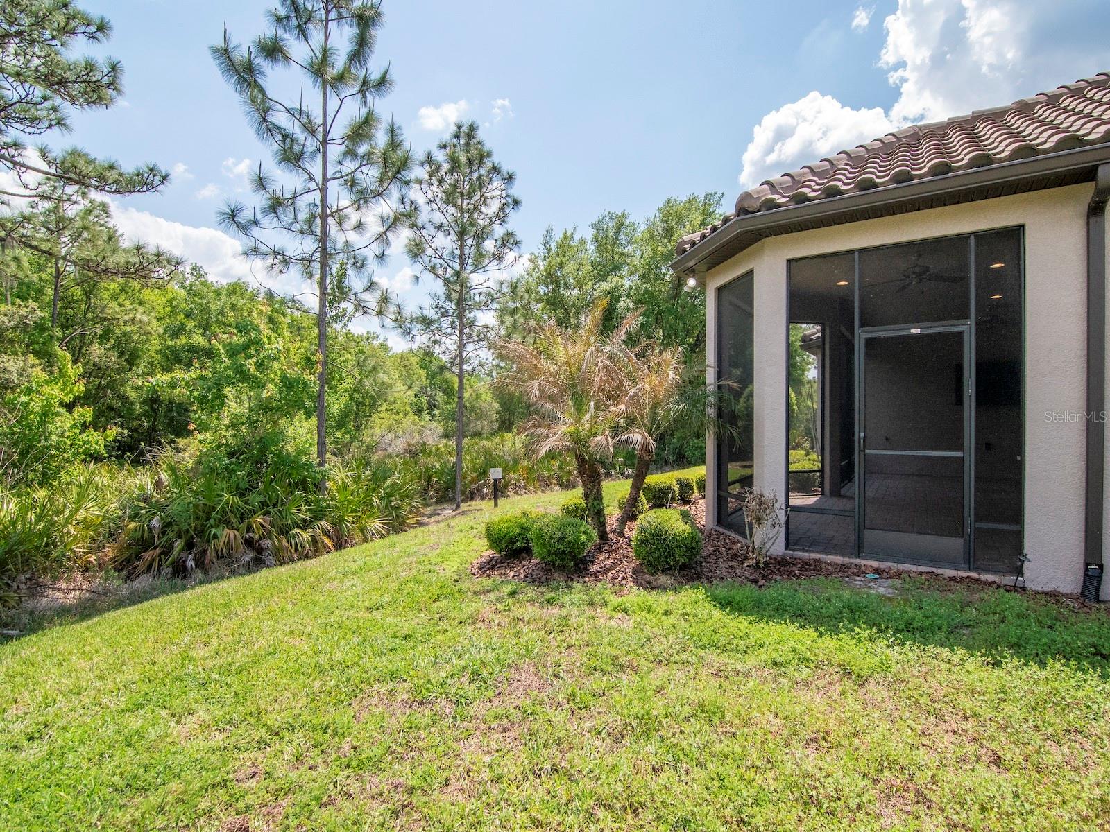 20003 UMBRIA HILL DR, TAMPA, FL, 33647