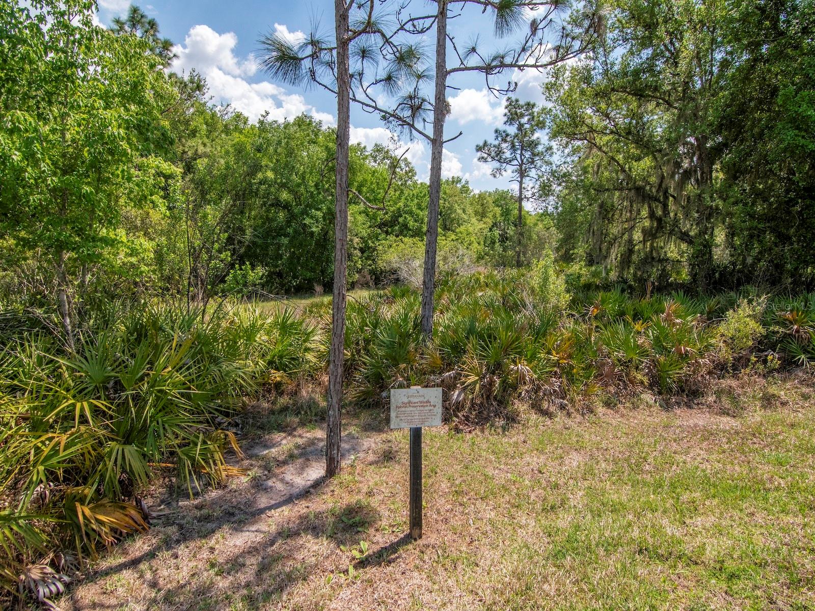 20003 UMBRIA HILL DR, TAMPA, FL, 33647