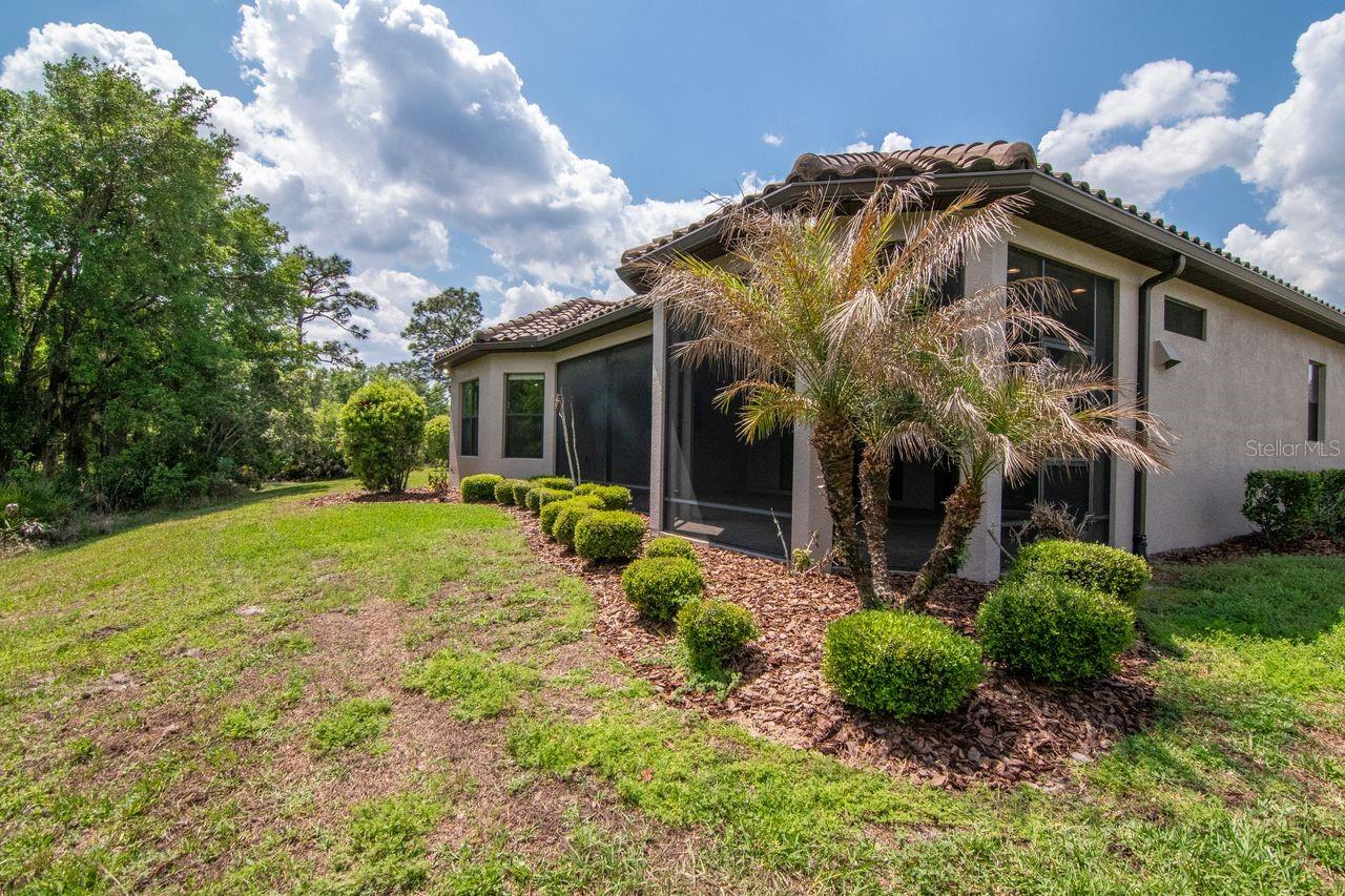 20003 UMBRIA HILL DR, TAMPA, FL, 33647