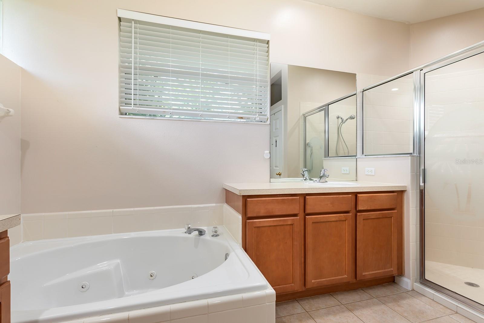 13409 VIA ROMA CIR, CLERMONT, FL, 34711